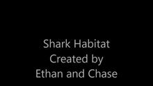 A Shark's Habitat