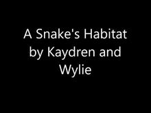 A Snake Habitat