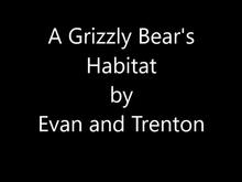 A Grizzly Bear's Habitat