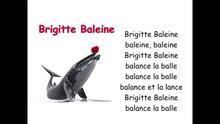 Brigitte baleine