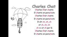 Charles le chat