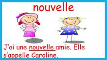 Grade 2 Sight Words of the Week (List 16)