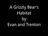 A Grizzly Bear's Habitat
