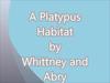  A Platypus Habitat