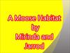 A Moose Habitat