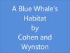 A Blue whale's Habitat